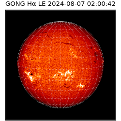gong - 2024-08-07T02:00:42