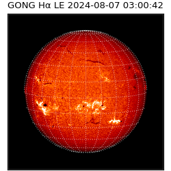 gong - 2024-08-07T03:00:42