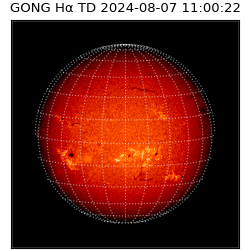 gong - 2024-08-07T11:00:22