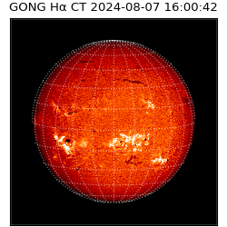 gong - 2024-08-07T16:00:42