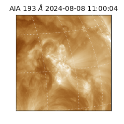 saia - 2024-08-08T11:00:04.843000