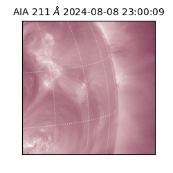 saia - 2024-08-08T23:00:09.626000