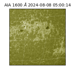 saia - 2024-08-08T05:00:14.125000