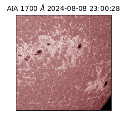 saia - 2024-08-08T23:00:28.721000