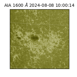 saia - 2024-08-08T10:00:14.126000