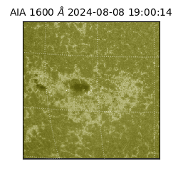 saia - 2024-08-08T19:00:14.126000