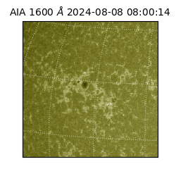 saia - 2024-08-08T08:00:14.131000