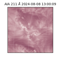 saia - 2024-08-08T13:00:09.626000