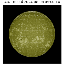 saia - 2024-08-08T05:00:14.125000