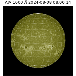 saia - 2024-08-08T08:00:14.131000