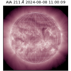 saia - 2024-08-08T11:00:09.626000