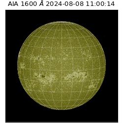 saia - 2024-08-08T11:00:14.132000