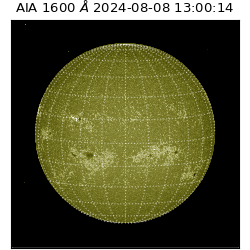saia - 2024-08-08T13:00:14.134000