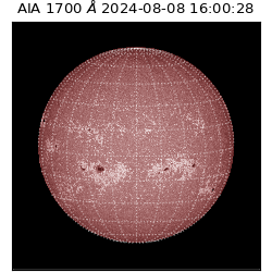 saia - 2024-08-08T16:00:28.737000