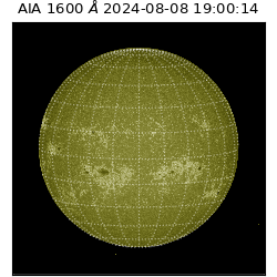 saia - 2024-08-08T19:00:14.126000