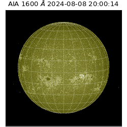 saia - 2024-08-08T20:00:14.133000
