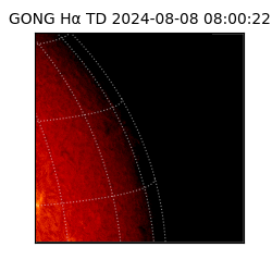 gong - 2024-08-08T08:00:22