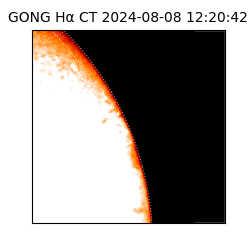 gong - 2024-08-08T12:20:42