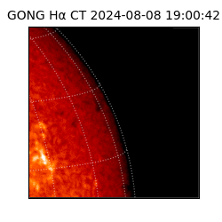 gong - 2024-08-08T19:00:42