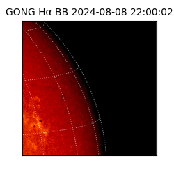 gong - 2024-08-08T22:00:02