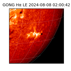 gong - 2024-08-08T02:00:42