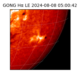 gong - 2024-08-08T05:00:42