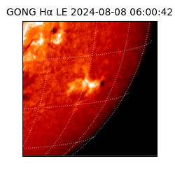 gong - 2024-08-08T06:00:42