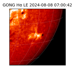 gong - 2024-08-08T07:00:42