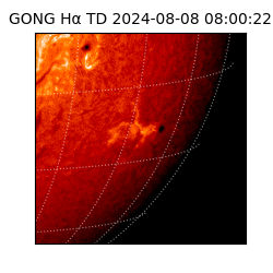 gong - 2024-08-08T08:00:22