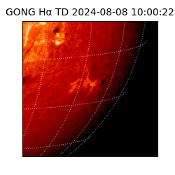 gong - 2024-08-08T10:00:22