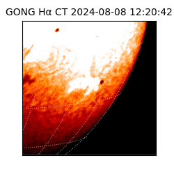 gong - 2024-08-08T12:20:42