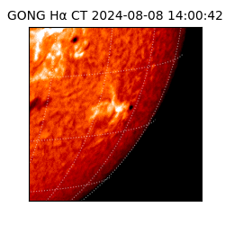 gong - 2024-08-08T14:00:42