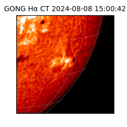 gong - 2024-08-08T15:00:42
