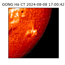 gong - 2024-08-08T17:00:42