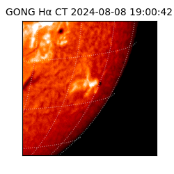 gong - 2024-08-08T19:00:42