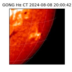 gong - 2024-08-08T20:00:42
