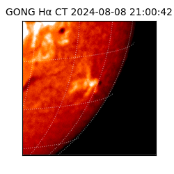 gong - 2024-08-08T21:00:42