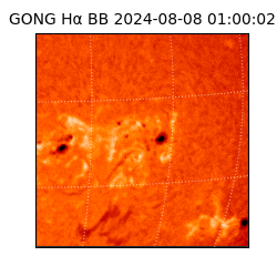 gong - 2024-08-08T01:00:02