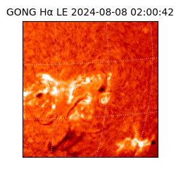 gong - 2024-08-08T02:00:42
