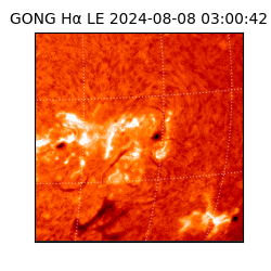gong - 2024-08-08T03:00:42