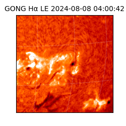 gong - 2024-08-08T04:00:42