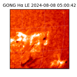 gong - 2024-08-08T05:00:42