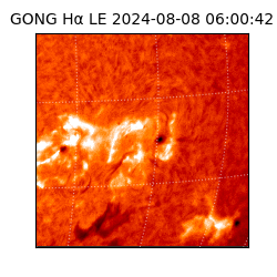 gong - 2024-08-08T06:00:42