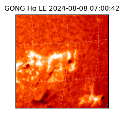 gong - 2024-08-08T07:00:42