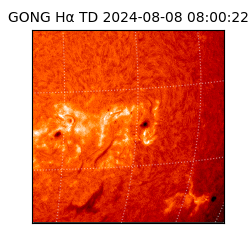 gong - 2024-08-08T08:00:22