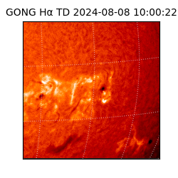 gong - 2024-08-08T10:00:22