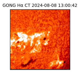 gong - 2024-08-08T13:00:42