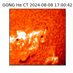gong - 2024-08-08T17:00:42