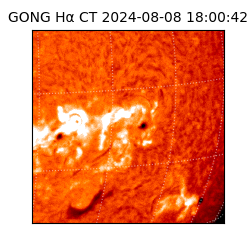 gong - 2024-08-08T18:00:42