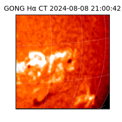 gong - 2024-08-08T21:00:42